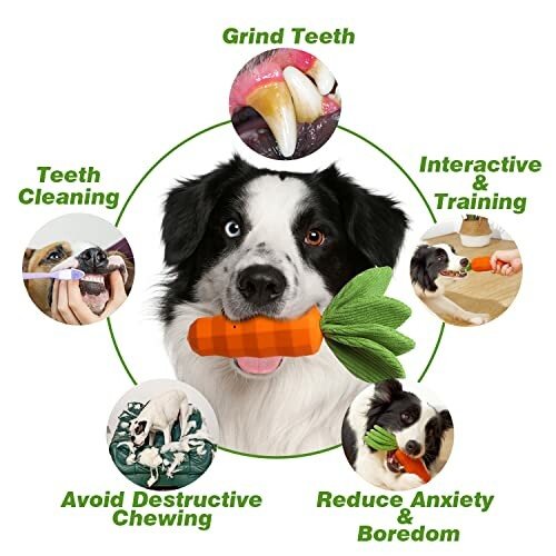 Dog with chew toy and benefits like teeth cleaning, anxiety reduction, and interactive play.