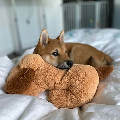 A dog cuddling with a brown stuffed toy on a bed.