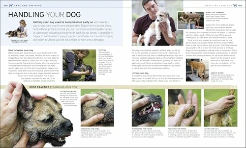 Guide on handling your dog with step-by-step instructions and images.