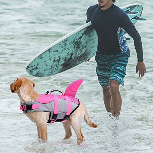 Dog in shark fin life vest on beach with surfer.