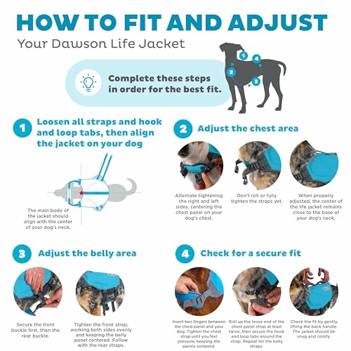 Guide on how to fit and adjust a dog life jacket in four steps.