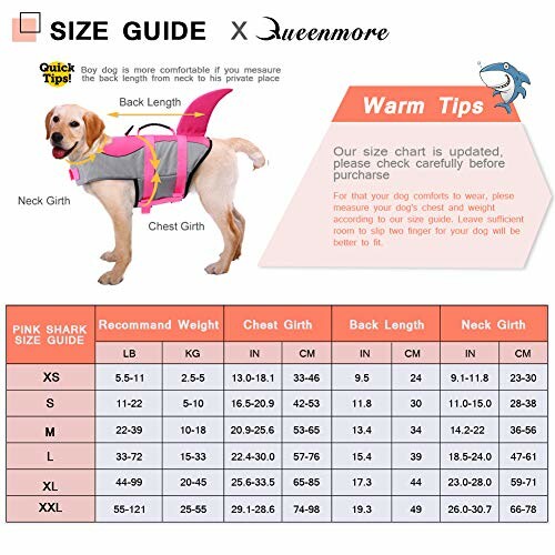 Dog life jacket size guide with measurements and tips.