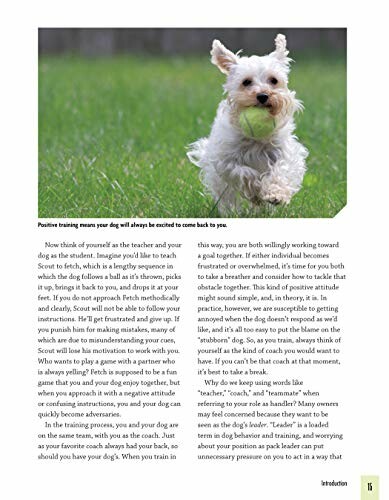 White dog running with a ball on grass.