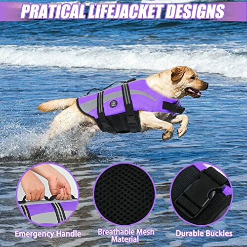 Dog wearing a purple lifejacket running through water with insets showing emergency handle, breathable mesh, and durable buckles.