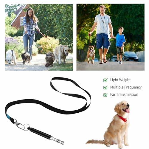 Collage of dog training tools and people walking dogs.