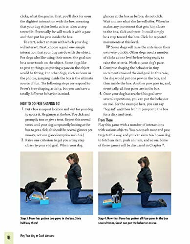 Person training a dog with a clicker and a box in a step-by-step guide.