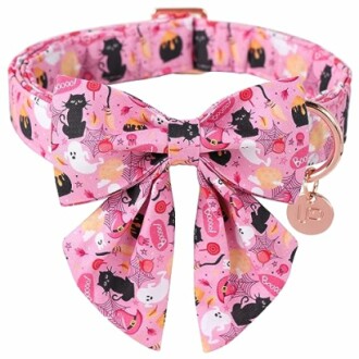 Halloween Dog Collar with Bow Tie & Flower