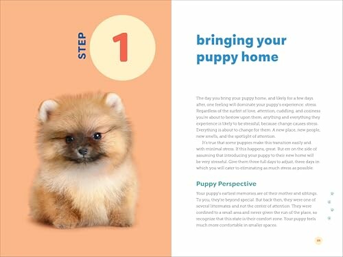 Guide for bringing your puppy home with cute puppy image.