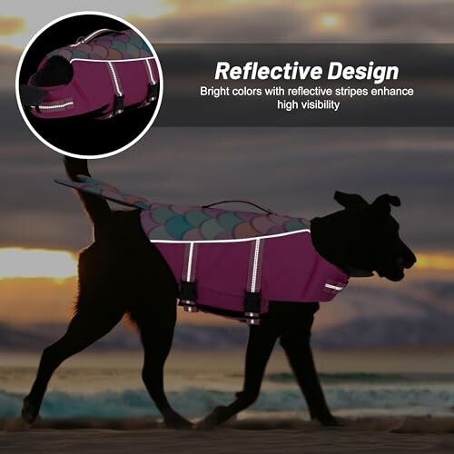 Dog wearing a reflective jacket walking on a beach at sunset.