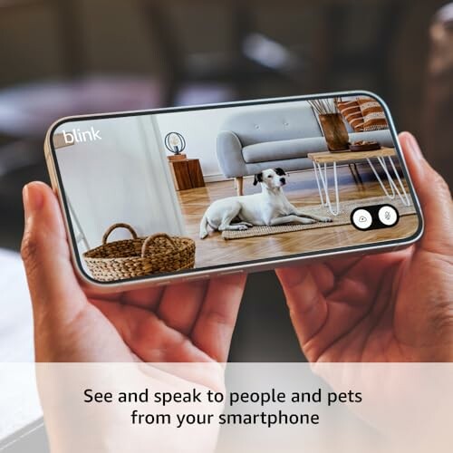 Person holding smartphone displaying a pet monitoring app with a dog on screen.